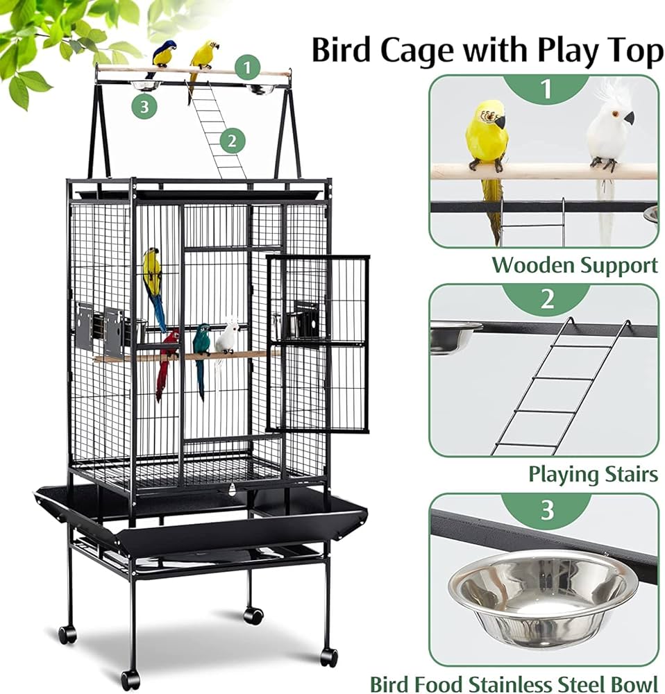 洋楽 CAGE Amazon.co.jp: Cage: ミュージック